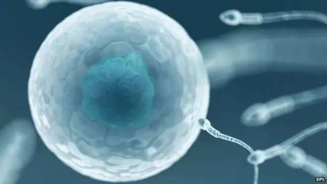 การใช้ยาแก้แพ้แอนติฮิสตามีนในระยะยาว อาจทำให้อัณฑะผลิตฮอร์โมนเพศบกพร่อง สเปิร์มมีน้อยและไม่สมบูรณ์ได้