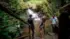 "Gabon" be 1st African nation paid by 'Cafi for protecting dia rainforest