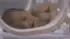 Adnan, a baby rescued from the rubble of his home in north-western Syria, sleeps inside an incubator at al-Shifa Hospital in Afrin (13 February 2023)