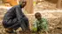 Un homme et un enfant plantent un arbre