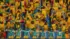 Sept supporters de football se tiennent debout et saluent en formant le mot « Sénégal » avec de grandes lettres peintes en vert sur leur corps, devant de nombreux autres supporters sénégalais, vêtus pour la plupart de jaune et brandissant des écharpes aux couleurs du Sénégal, dans les tribunes d'un stade de football