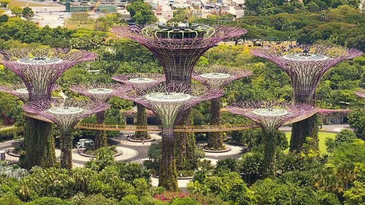 La obsesión de Singapur por la sombra que la convierte en un modelo en el mundo para combatir el calor La obsesión de Singapur por la sombra que la convierte en un modelo en el mundo para combatir el calor