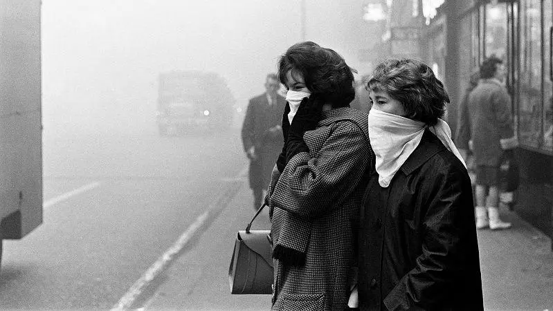 એવી લેબોરેટરી જે મધમાખીનો ઉપયોગ કરીને ક્લાઇમેટ ચેન્જ અંગે સંશોધન કરે છે