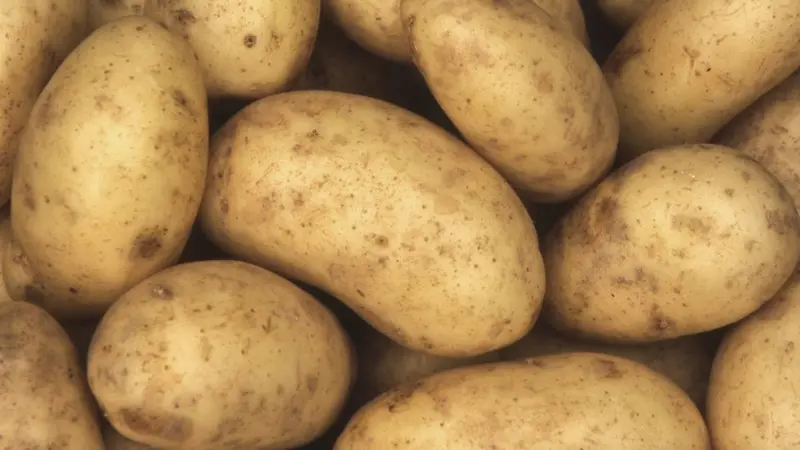 Cristales en las patatas: lo que necesitas saber sobre la acrilamida en las patatas