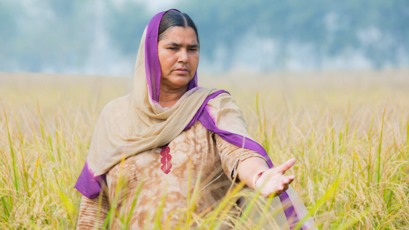 Picture of Woman Farmer 