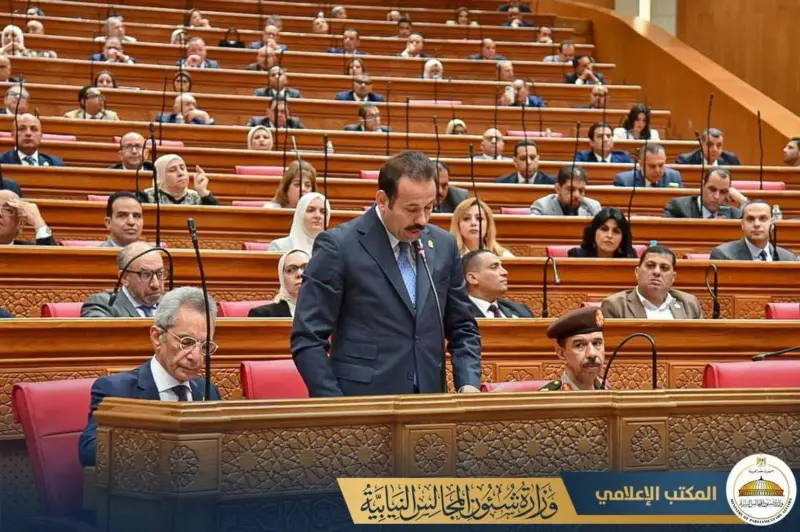 د. بهاء الغانم المدير التنفيذي لجهاز مستقبل مصر في مجلس النواب المصري