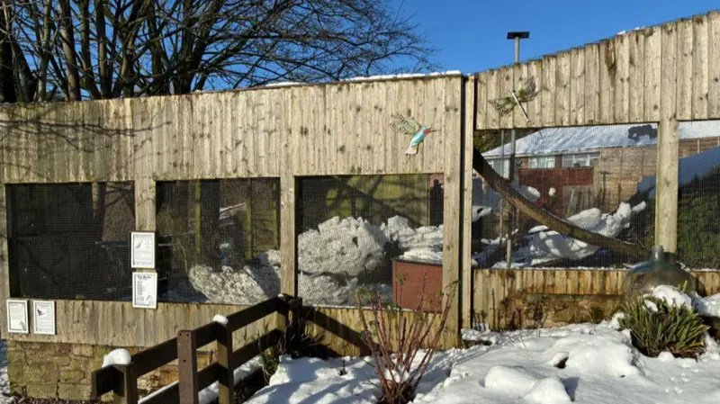 Santuario de animales dañado por fuertes nevadas