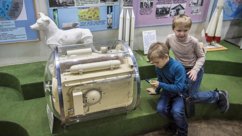 La Incre Ble Odisea De Laika La Perrita Pionera Enviada A Morir Al