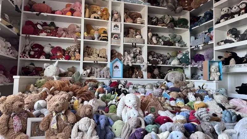 Adolescente gana récord mundial por su colección de peluches