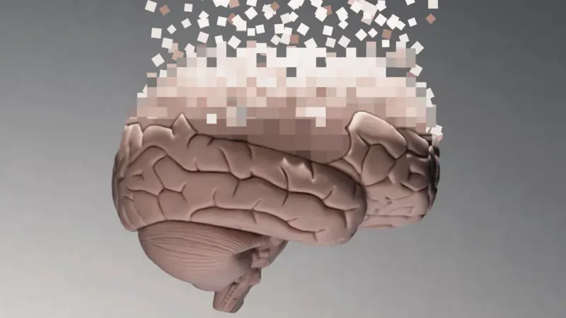 Cómo se «reconfigura» el cerebro humano después de los 40 años y cómo mantenerme sano para esa edad