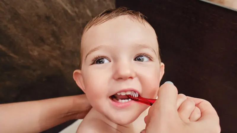 La influencia de la nutrición en el desarrollo dental: desde el vientre materno hasta la infancia