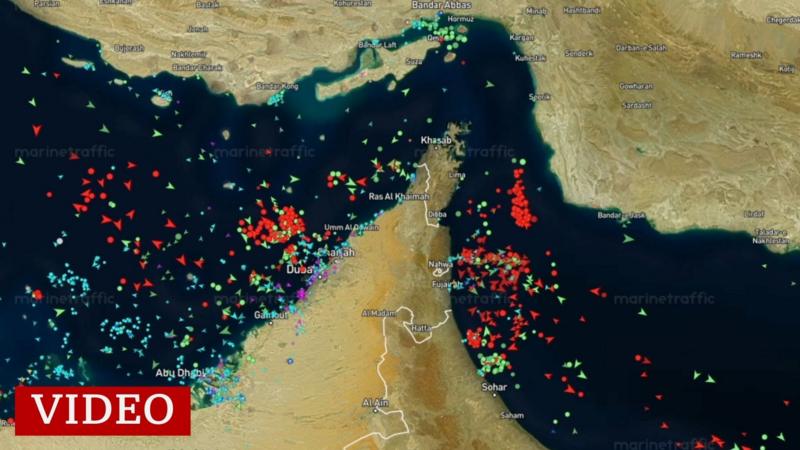 El video que muestra la caída en el tráfico por el estrecho de Ormuz a causa de la guerra en Irán (y los barcos que están varados)
