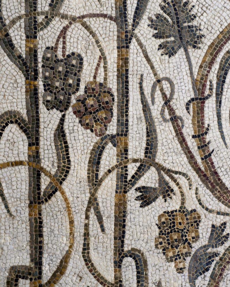 2fcd7fa0 d6b7 11ee 8f28 259790e80bba