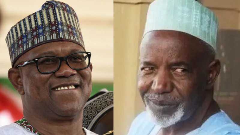 Los siete gobernadores nigerianos que han sido destituidos en la historia