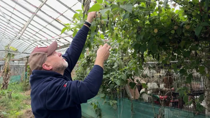 El cambio de actitud, clave para mejorar la seguridad alimentaria El cambio de actitud, clave para mejorar la seguridad alimentaria