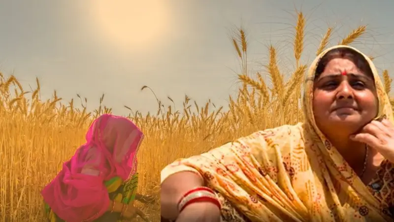 ગુજરાતના બનાસકાંઠા જિલ્લામાં કાળઝાળ ગરમી વચ્ચે ખેતરોમાં કામ કરતી મહિલા ખેડૂતોની સ્થિતિ કપરી બની જાય છે