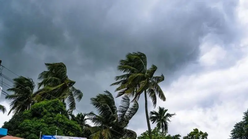 তিন বিভাগে ঝড় ও বজ্রবৃষ্টির পূর্বাভাস