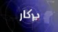 پرگار