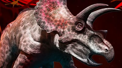 Quiz: Which dinosaur are you? - CBBC - BBC