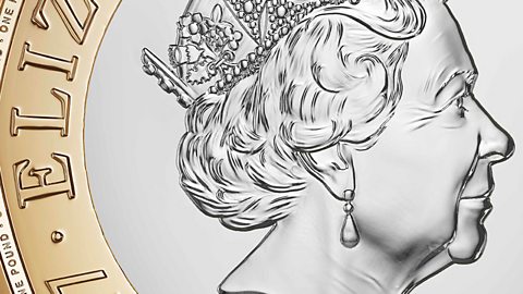 Newsround Quizzes - CBBC - BBC