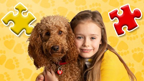 Jigsaw Puzzles - CBeebies - BBC