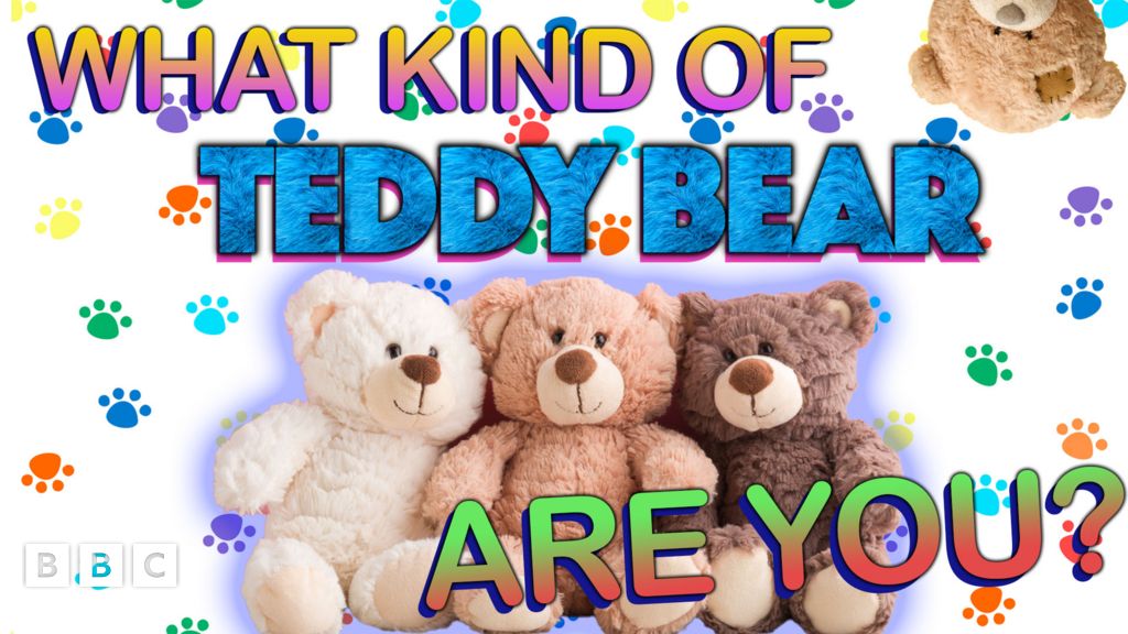 QUIZ: What Kind of Teddy Bear Are You? - CBBC