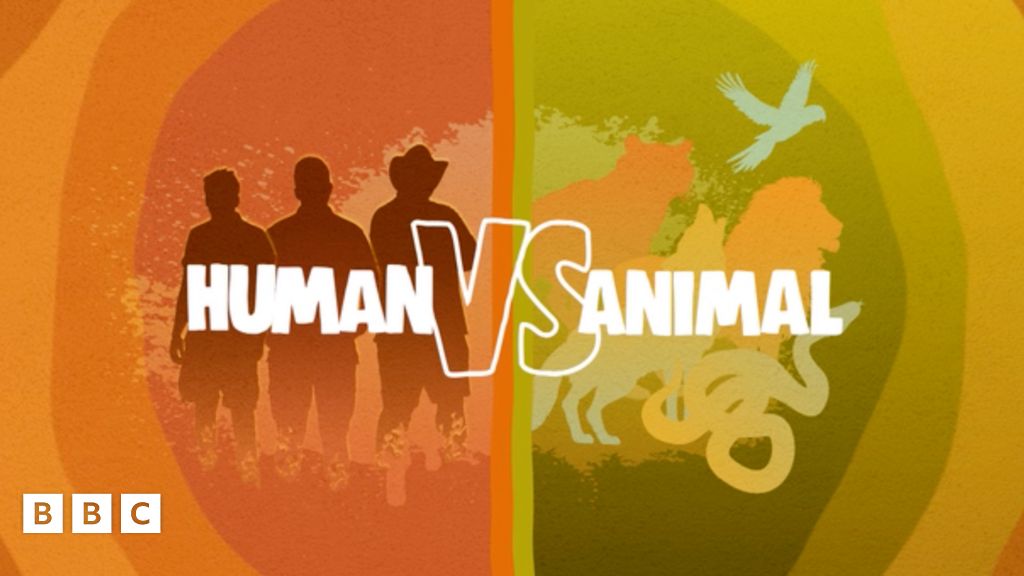 Human vs Animal Quiz CBBC