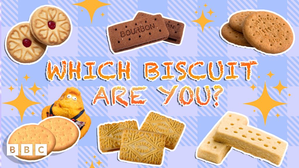 QUIZ Which biscuit are you CBBC