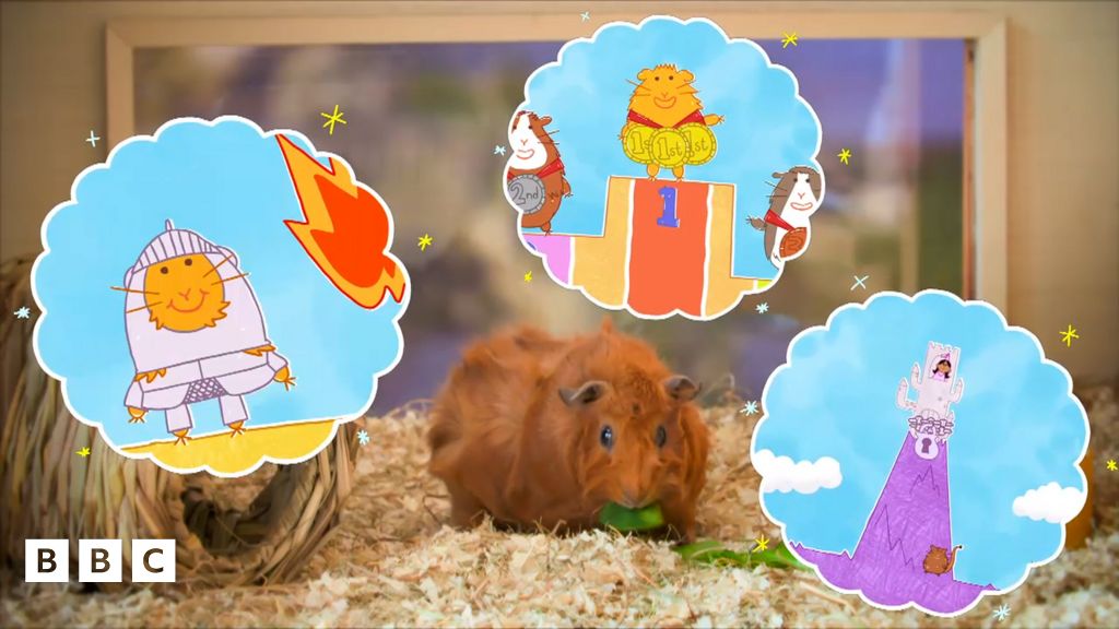 Olga da Polga Theme Song - CBeebies