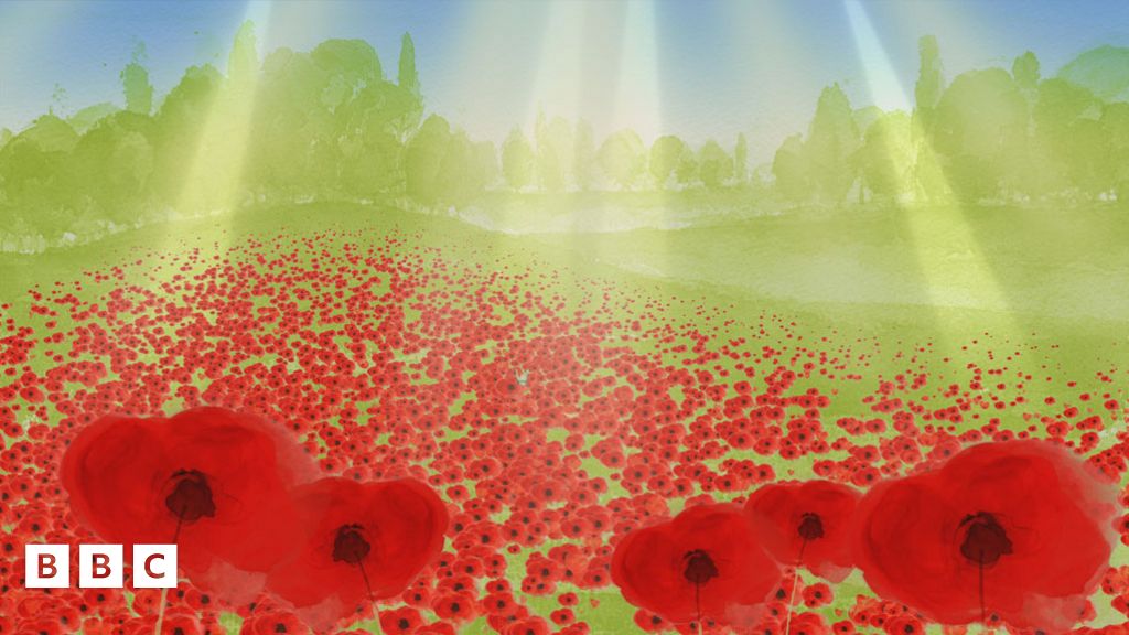 Poppies - CBeebies
