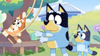 Watch clips from Bluey - CBeebies - BBC