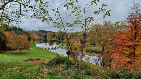 Autumn scene