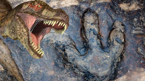 A dinosaur T-Rex next to a dinosaur footprint