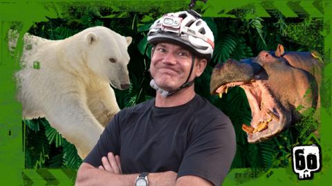 Steve standing next to a hippo and a polar bear