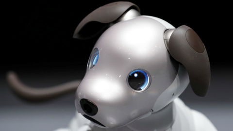 Sony Aibo