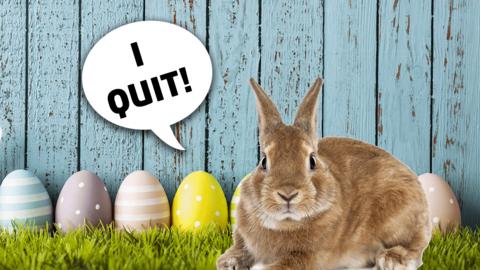 Cute rabbit saying 'I quit'.