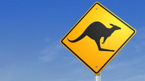 Kangaroo crossing road sign