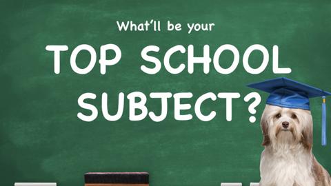 What'll be your top school subject?