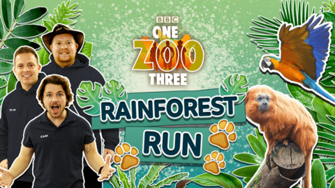 "One Zoo Three: Rainforest Run". Aaron, Cam and Tyler are excited standing next to a parrot and monkey in front of lots of tropical plants