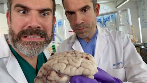 Doctors Chris and Xand look at a brain!