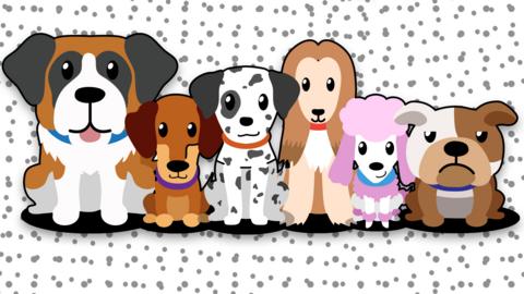 Six illustrated images of different dog breeds including a Dalmation.