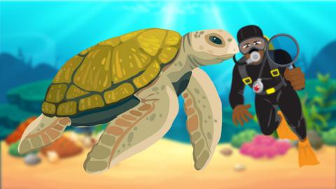 Underwater, a large turtle is in front of camera, behind it is a scuba diver holding a magnifying glass