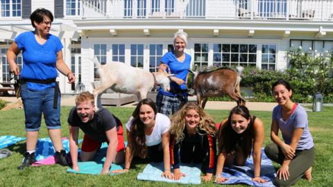 Ramsay family trying goat yoga