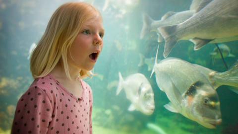 Visitor at Anglesey Sea Zoo