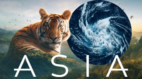 A large tiger blends into a mountain top, it is clever photo editing. A sphere of ocean water is next to it, and the logo says 'Asia'..