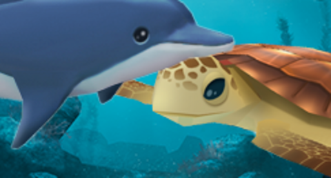 Animated dolphin and turtle under the sea.