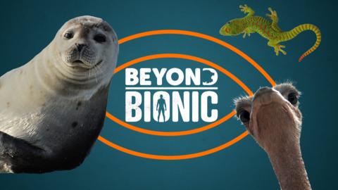 The Beyond Bionic logo with a seal, ostrich and gecko.