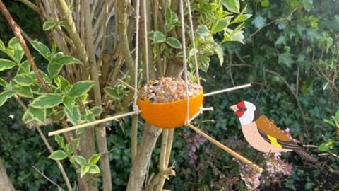 step by step guides for making bird feeders out of an orange and an empty drinks carton