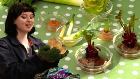 Blue Peter's Abby demonstrates how to grow your own food at home.