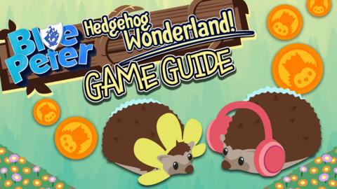 bp-hedgehog-wonderland-guide-title